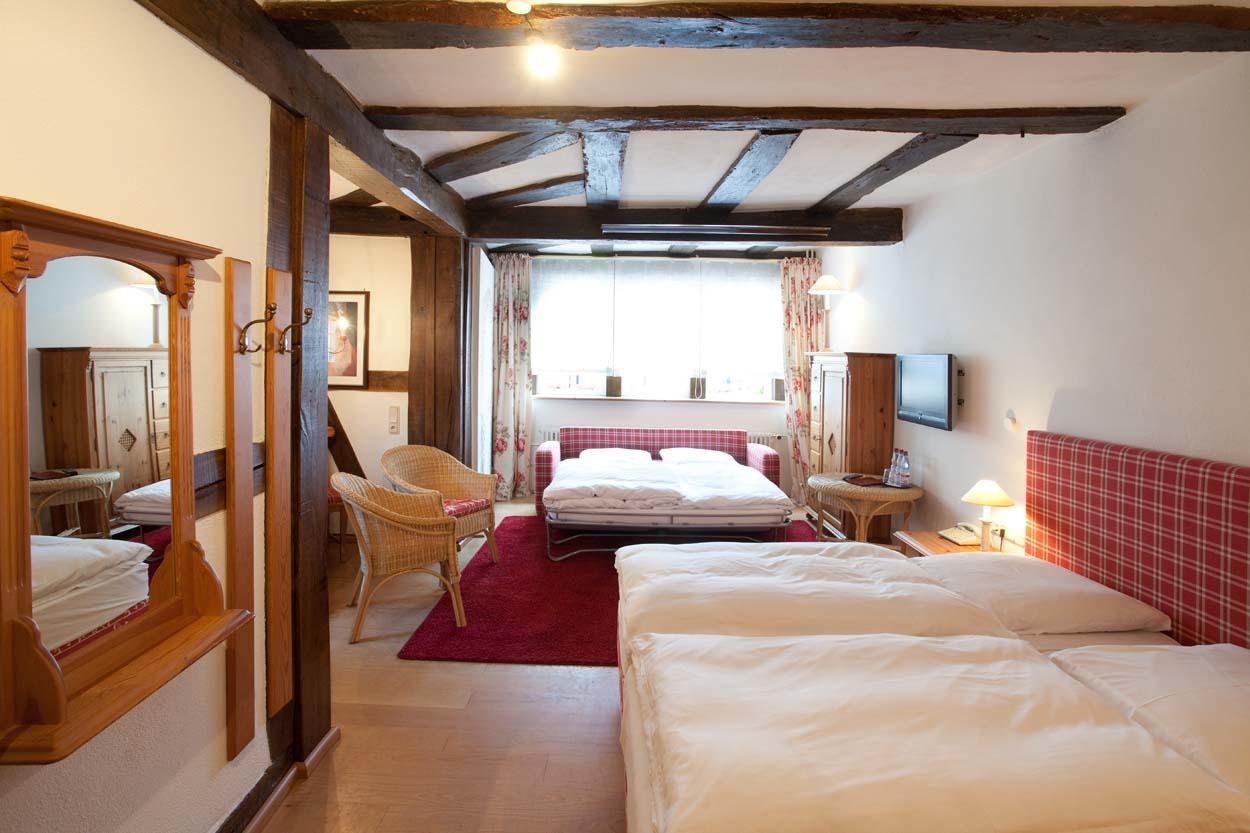 Karpfen Hotel 3*